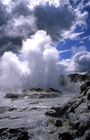 Steam geyser at Te Whakarewarewa