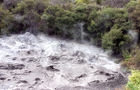 Mud pool at Te Whakarewarewa