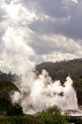 Steam geyser in Te Whakarewarewa