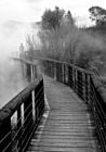 Walkway over crater lake in Kuirau Park