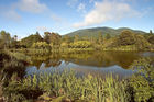 Lake Ngahewa (opposite Rainbow mountain)