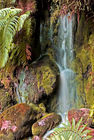 A small waterfall in the rainforest
