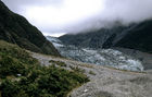 Fox Glacier 