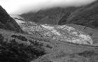 Fox Glacier 